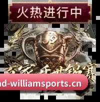 威廉体育 APP 界面
