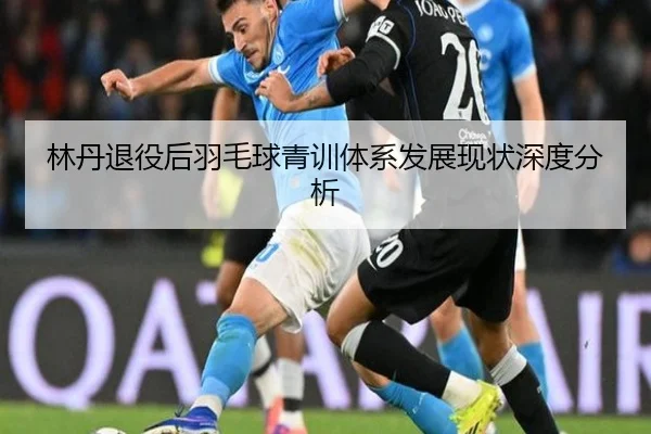 林丹退役后羽毛球青训体系发展现状深度分析